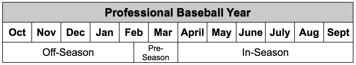 Pro Baseball Strength Training